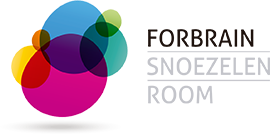 Forbrain Snoezelen Room